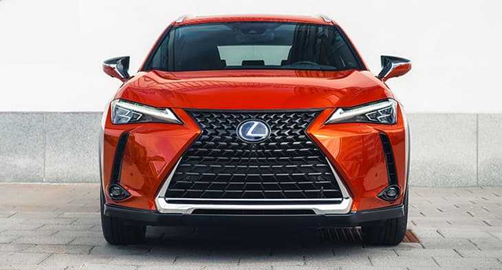 UX Dynamic galeria 4